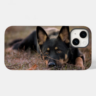 Funda Para iPhone 14 De Case-Mate Animales de bebé más afectados   Pastor alemán
