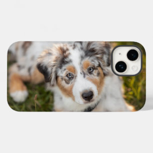 Funda Para iPhone 14 De Case-Mate Animales de bebé más afectados Pastor Australian