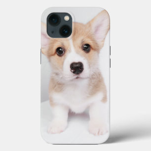 Funda Para iPhone 13 Animales de bebé más afectados   Pequeño Corgi