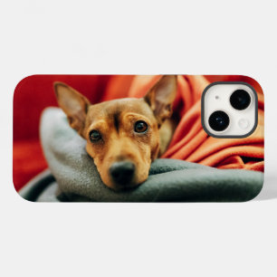 Funda Para iPhone 14 De Case-Mate Animales de bebé más afectados Pinscher en minia