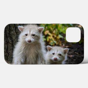 Funda Para iPhone 13 Animales de bebé más afectados   Racconones jóvene