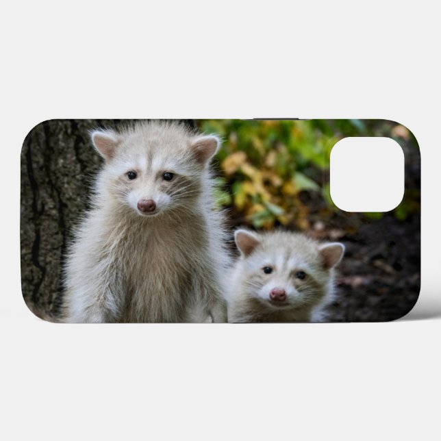 Funda De Case-Mate Para iPhone Animales de bebé más afectados | Racconones jóvene (Reverso (Horizontal))