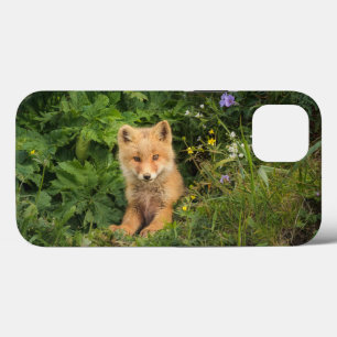 Funda Para iPhone 13 Animales de bebé más afectados Red Fox en Umnak