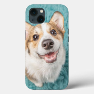 Funda Para iPhone 13 Animales de bebé más afectados Sonrisa de cachor