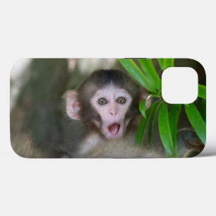 Funda Para iPhone 13 Animales de bebé más afectados   Sorprendido mono 