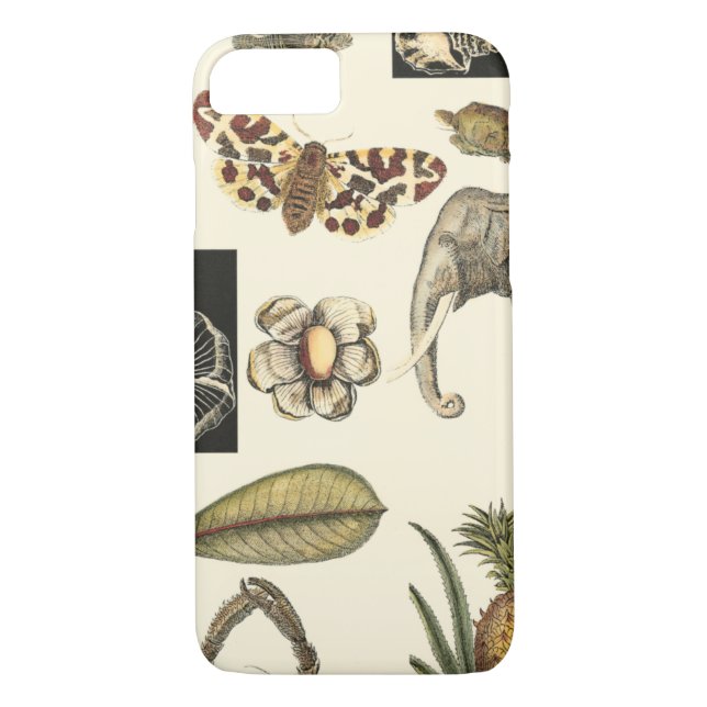 Funda De Case-Mate Para iPhone Animales variados pintados con fondo crema (Reverso)