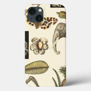 Funda Para iPhone 13 Animales variados pintados con fondo crema