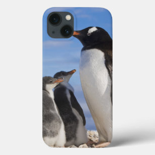 Funda Para iPhone 13 Antártida, Neko Cove (puerto). Pingüino Gentoo 2