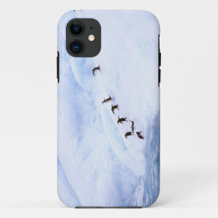 Funda Para iPhone 11 Antártida, Península Antártica. Chinstrap