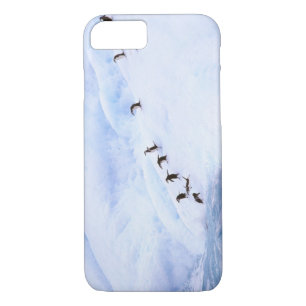 Funda Para iPhone 8/7 Antártida, Península Antártica. Chinstrap