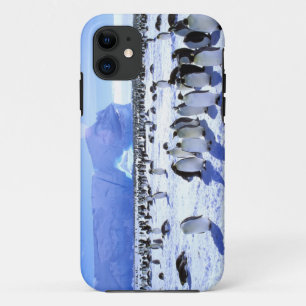 title_seo2 Antártida, Península Antártica, Mar de Weddell, 5