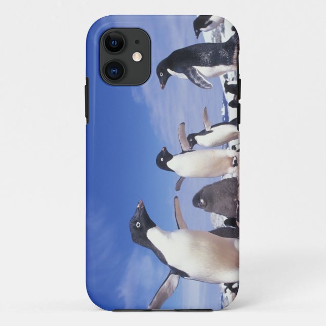 Funda De Case-Mate Para iPhone Antártida, Pingüino Adelie Pygoscelis (Reverso)