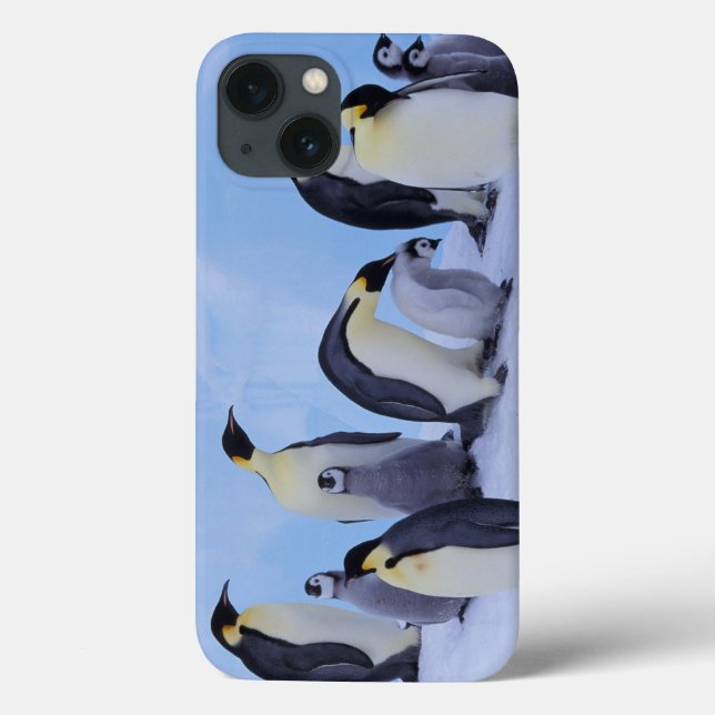 Funda De Case-Mate Para iPhone Antártida, Pingüinos Emperadores (Reverso)