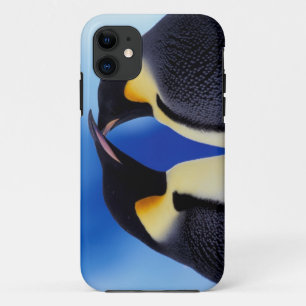 title_seo2 Antártida, Pingüinos Emperadores