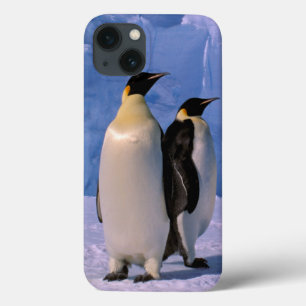 Funda Para iPhone 13 Antártida, Territorio Antártico Australiano, 7