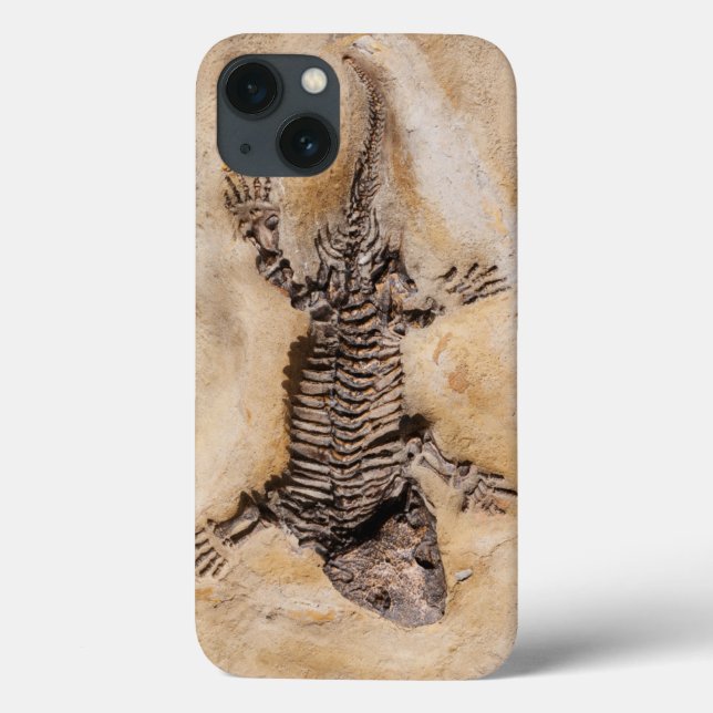Funda De Case-Mate Para iPhone Antiguo fósil de dinosaurios en piedra (Reverso)