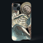 title_seo2 Antología de Seashell<br><div class="desc">Esta obra de Vision Studio captura algunos de los mejores paisajes marinos. Obtén esta obra de arte rústica de estas diferentes formas y tamaños de conchas. Esta es una obra de arte única de estas piezas de Seashell Anthology.</div>