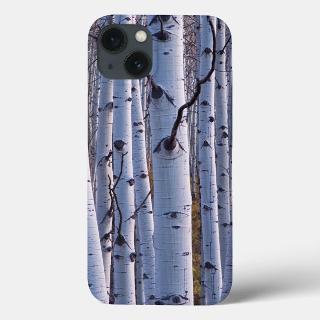Funda De Case-Mate Para iPhone Apenos En El Parque Nacional De Gunnison (Reverso)