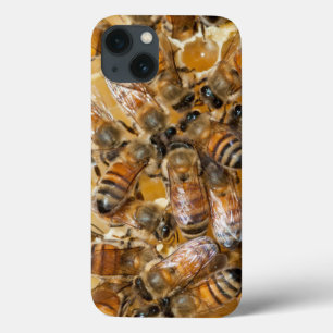 Funda Para iPhone 13 Apicultura en Arlo's Honey Farm
