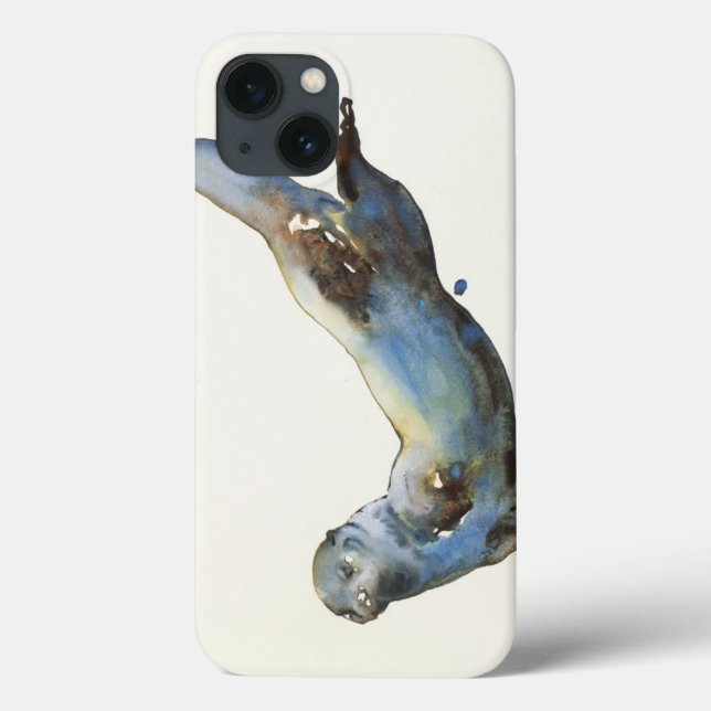 Funda De Case-Mate Para iPhone Aqua 2014 (Reverso)