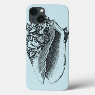 title_seo2 Aqua Conch Shell