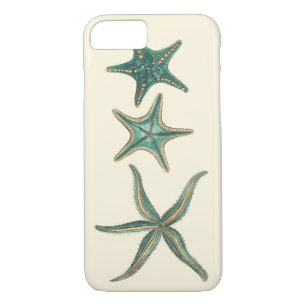 title_seo2 Aquamarine Triple Starfish