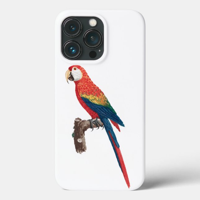 Funda De Case-Mate Para iPhone Ara Canga Parrot (Reverso )