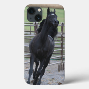 Funda Para iPhone 13 Árabe negro Prancing