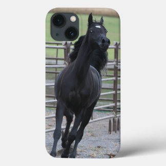 Funda Para iPhone 13 Árabe negro Prancing
