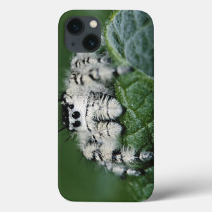 Funda Para iPhone 13 Araña de salto de Metaphid