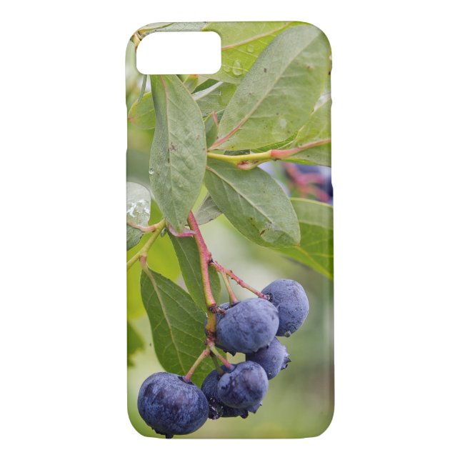 Funda De Case-Mate Para iPhone arándanos de arbusto (Reverso)
