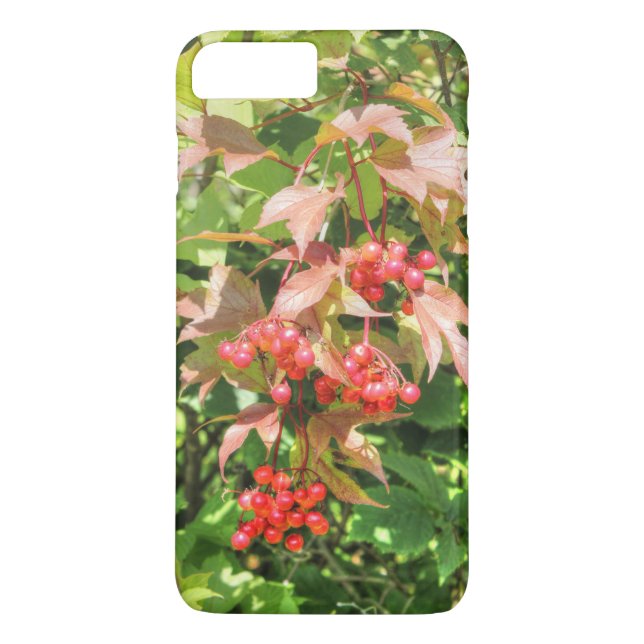 Funda De Case-Mate Para iPhone Arándanos de arbusto alto (Reverso)