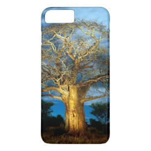 title_seo2 Árbol Baobab (Adansonia) iluminado por la luna
