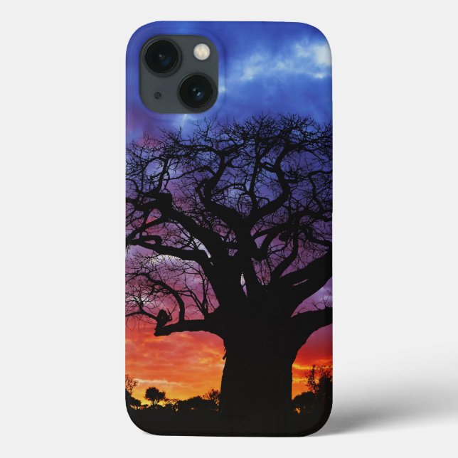 Funda De Case-Mate Para iPhone árbol baobab africano, Adansonia digitata, 2 (Reverso)