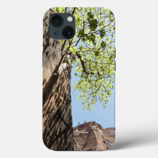 Funda Para iPhone 13 Árbol creciendo entre rocas en el Parque Nacional
