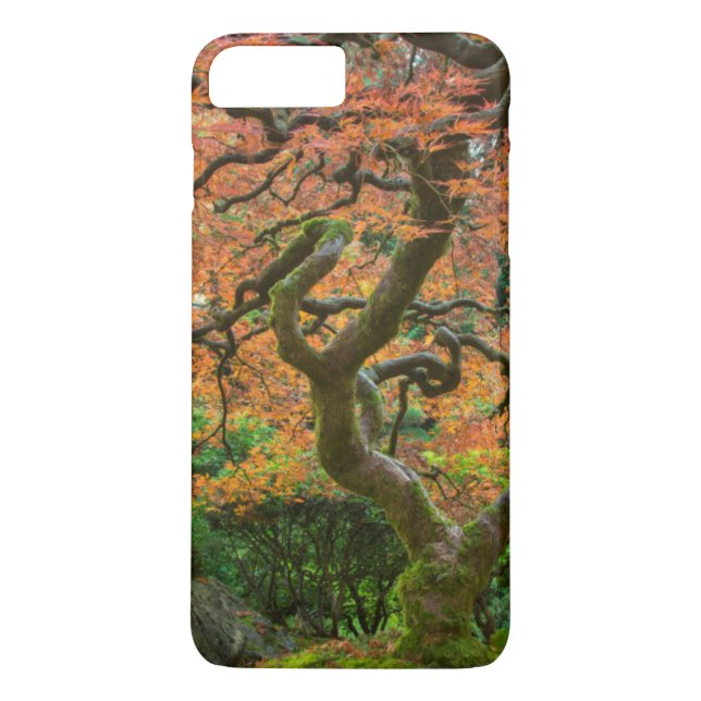 Funda De Case-Mate Para iPhone Árbol De Arce En Los Jardines Japoneses En Otoño (Reverso)