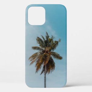 Funda Para iPhone 12 Árbol de coco verde bajo cielo azul