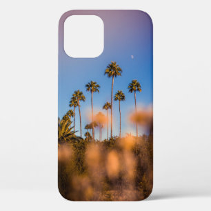 Funda Para iPhone 12 Árbol de palma bajo cielo azul