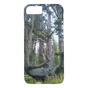 Funda Para iPhone 8/7 Árbol de pulpo, meares de Cabo, orregón