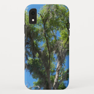 Funda Para iPhone XR Árbol de roble alto con mosca española en una caja