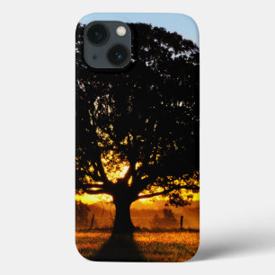 Funda Para iPhone 13 Árbol por la mañana