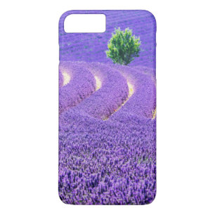 Funda Para iPhone 8 Plus/7 Plus Árbol solitario en campo de lavanda, Francia