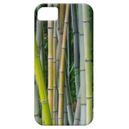 title_seo2 Arboleda de bambú hermosa