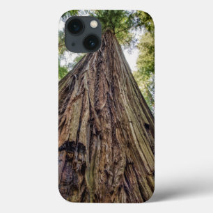 Funda Para iPhone 13 Arboleda Roosevelt