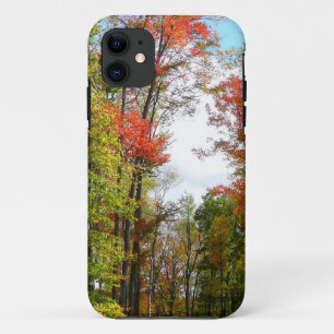 Funda Para iPhone 11 Árboles caídos y fotografía de la naturaleza otoña