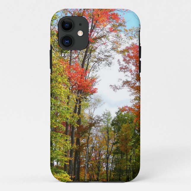Funda De Case-Mate Para iPhone Árboles caídos y fotografía de la naturaleza otoña (Reverso)