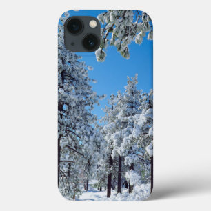 Funda Para iPhone 13 Árboles cubiertos de nieve en las montañas Laguna