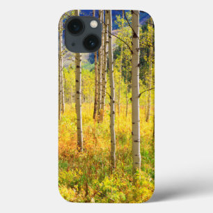 Funda Para iPhone 13 Árboles de Aspen en Otoño en las Montañas Rocosas