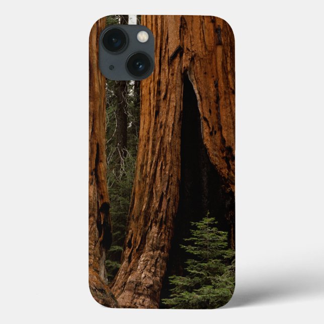 Funda De Case-Mate Para iPhone Árboles de secuoya, Parque Nacional Sequoia. (Reverso)