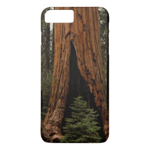 Funda Para iPhone 8 Plus/7 Plus Árboles de Secuoya, Parque Nacional Sequoia.